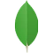 t43