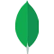 t81