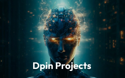 Dpin Project